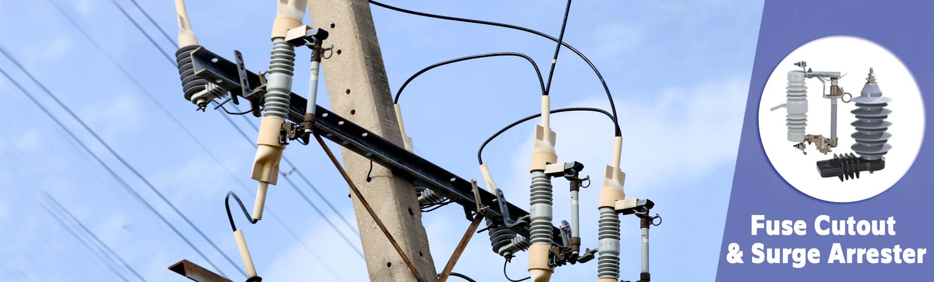 Surge Arrester